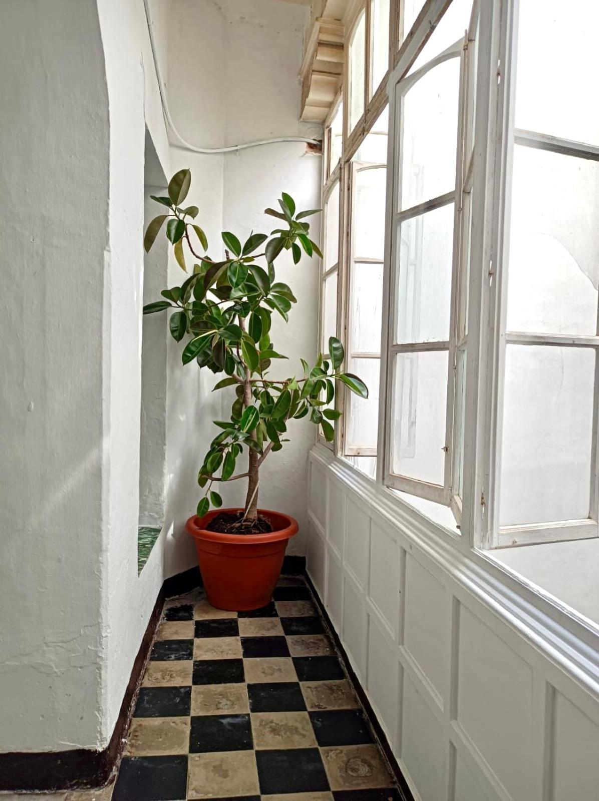 Precioso Apartamento: La Luz De Cadiz Luaran gambar
